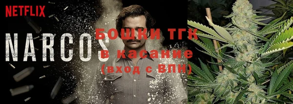винт Аркадак